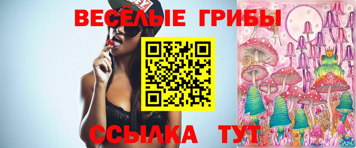 Псилоцибиновые грибы ЛСД  Вход с VPN  Псилоцибиновые грибы MAGIC MUSHROOMS  Славгород 