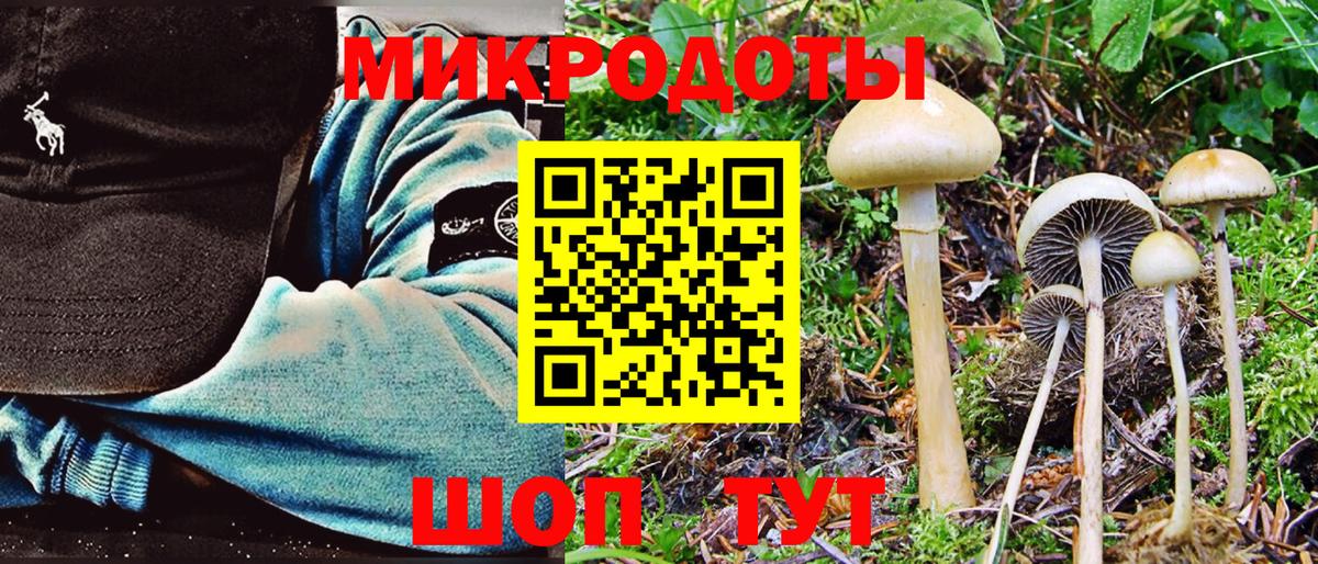 Галлюциногенные грибы прущие грибы Славгород